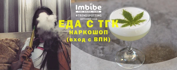 индика Нязепетровск
