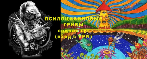 первитин Няндома