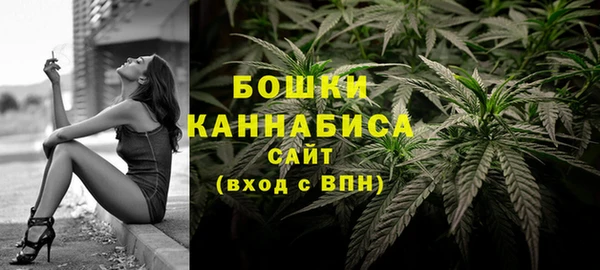 первитин Няндома