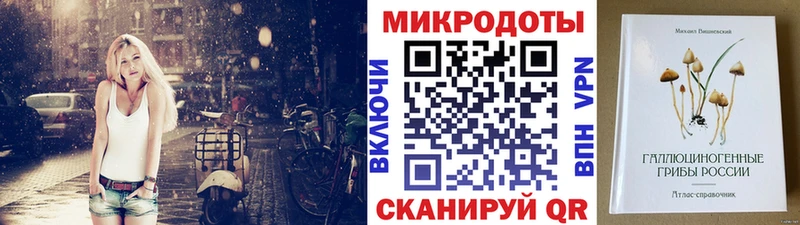 Псилоцибиновые грибы Psilocybine cubensis  Новое Девяткино 